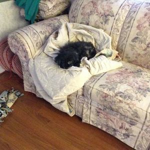 Meet your Posher, Beth